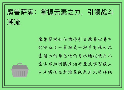 魔兽萨满：掌握元素之力，引领战斗潮流